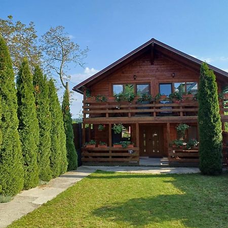 Casa Gherman 호텔 투르다 외부 사진