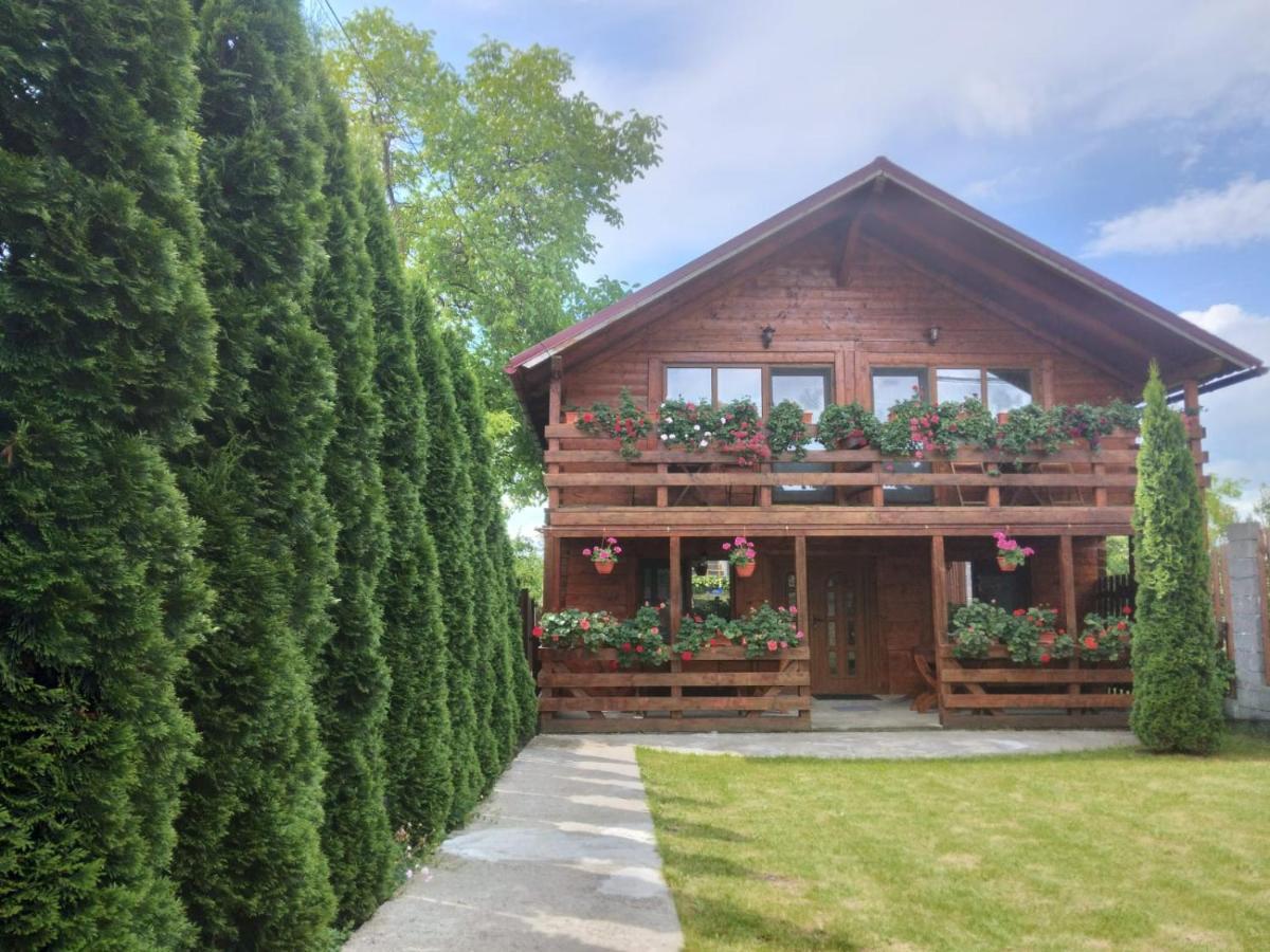 Casa Gherman 호텔 투르다 외부 사진